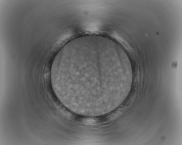 X0000091550513200709141518