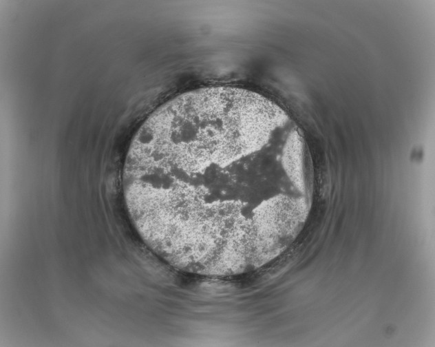 X0000091550515200709141518