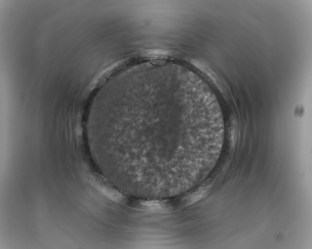 X0000091550516200709141518