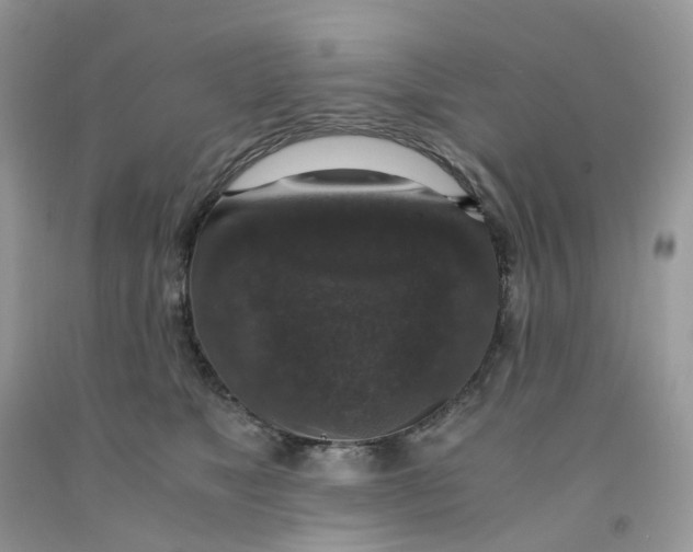 X0000091550517200709141518