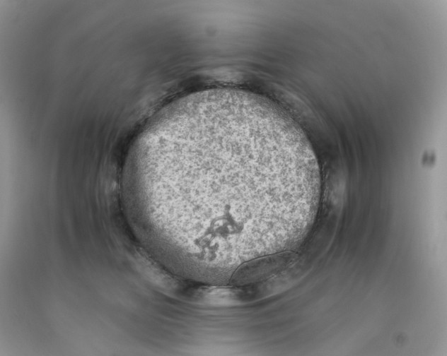 X0000091550518200709141518