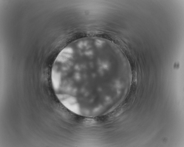 X0000091550519200709141518