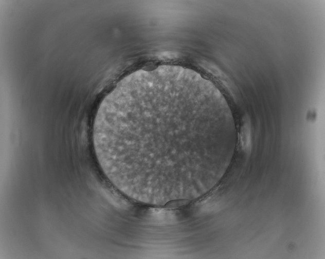 X0000091550520200709141518