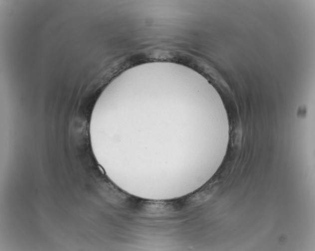 X0000091550521200709141518