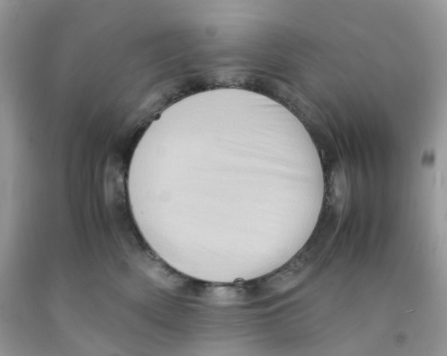 X0000091550522200709141518