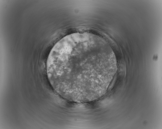 X0000091550523200709141518