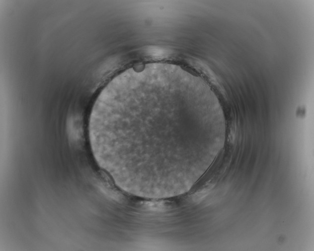 X0000091550524200709141518