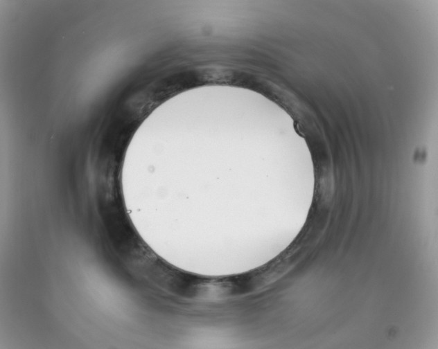 X0000091550525200709141518