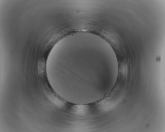 X0000091550526200709141518