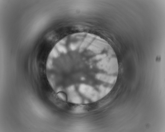 X0000091550527200709141518