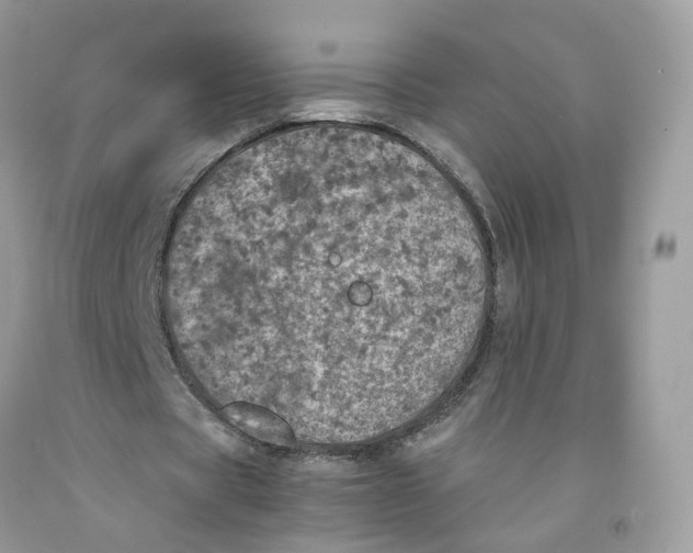 X0000091550529200709141517