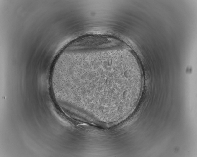 X0000091550530200709141517