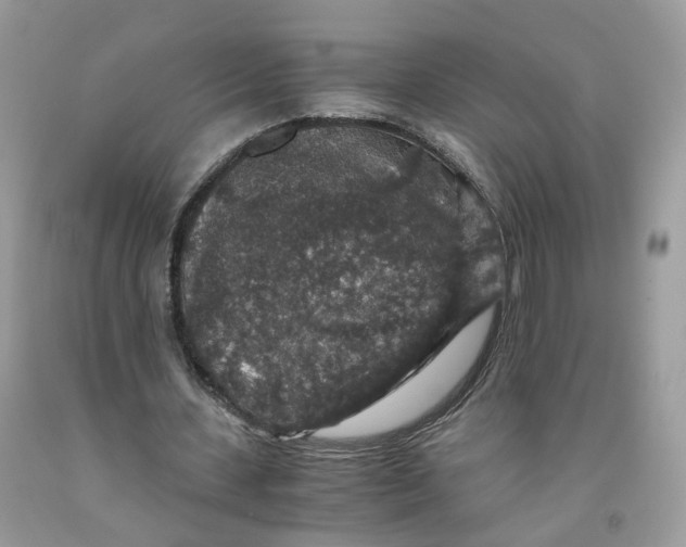 X0000091550531200709141517