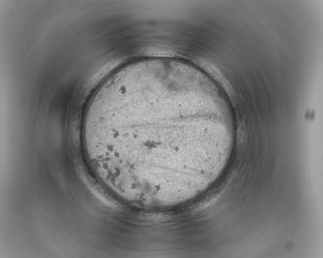 X0000091550533200709141517