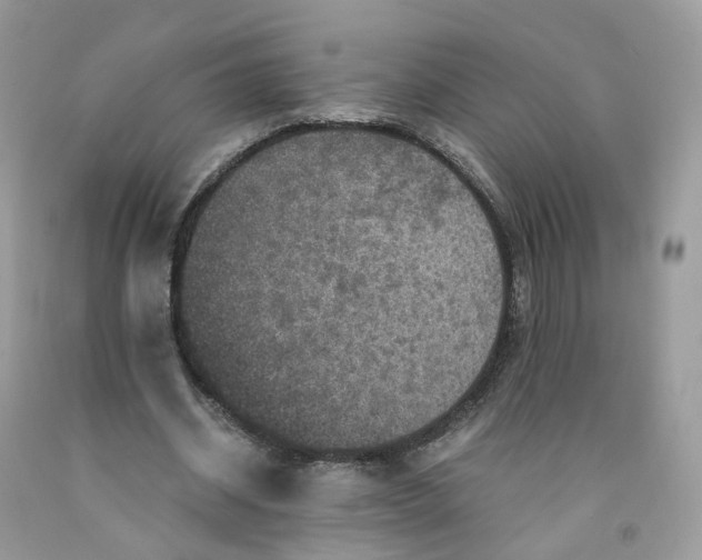 X0000091550534200709141517