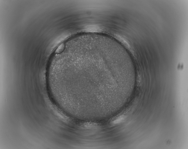 X0000091550535200709141518