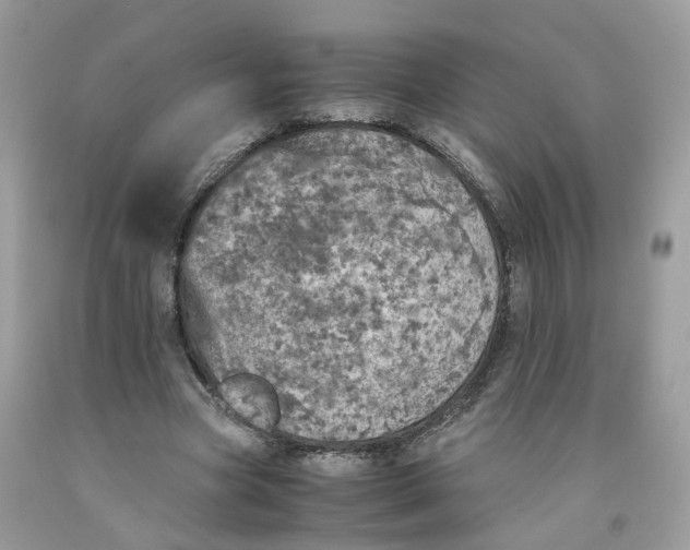 X0000091550537200709141518