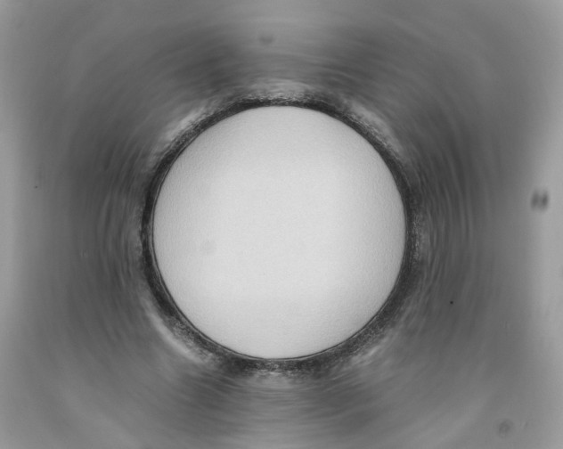 X0000091550538200709141518