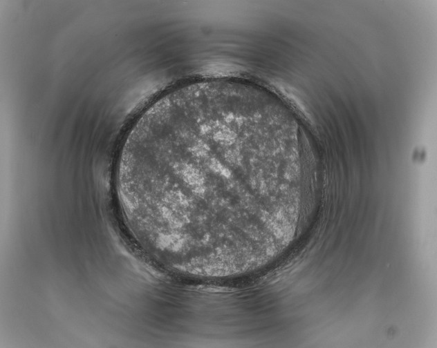 X0000091550539200709141518