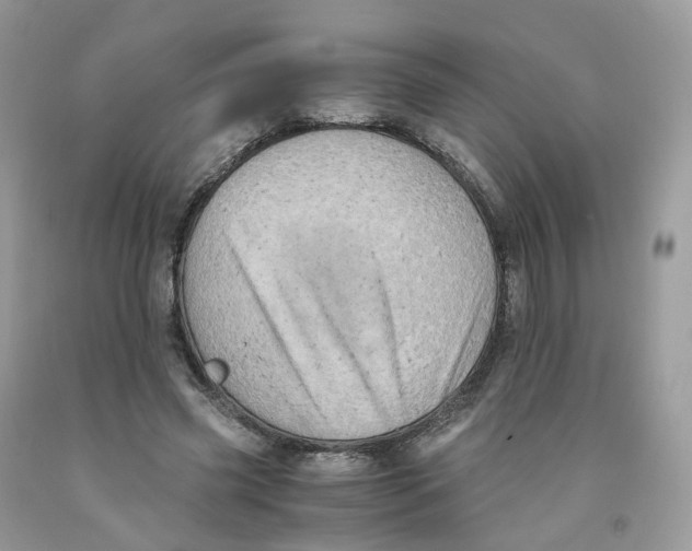 X0000091550541200709141518