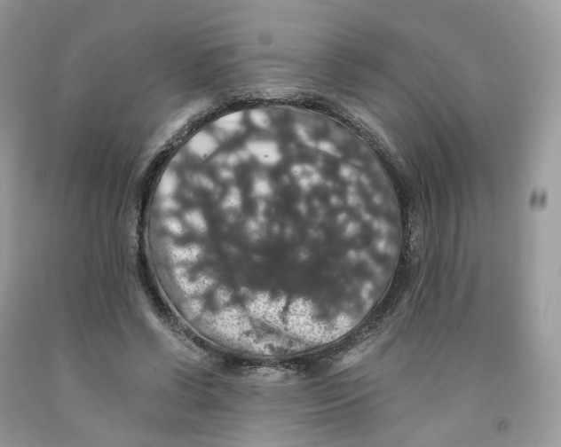 X0000091550542200709141518