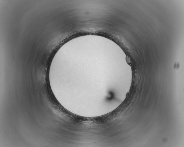 X0000091550544200709141518