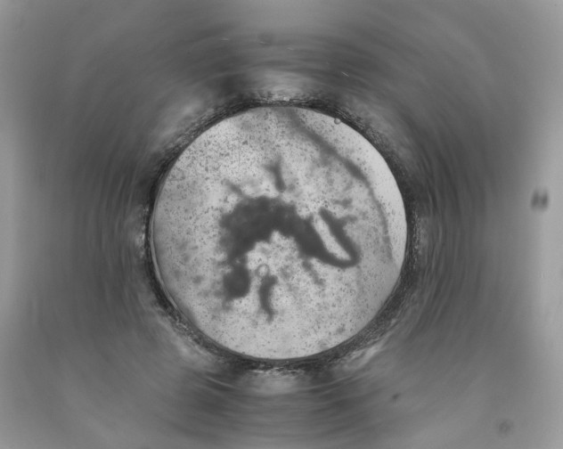 X0000091550545200709141518