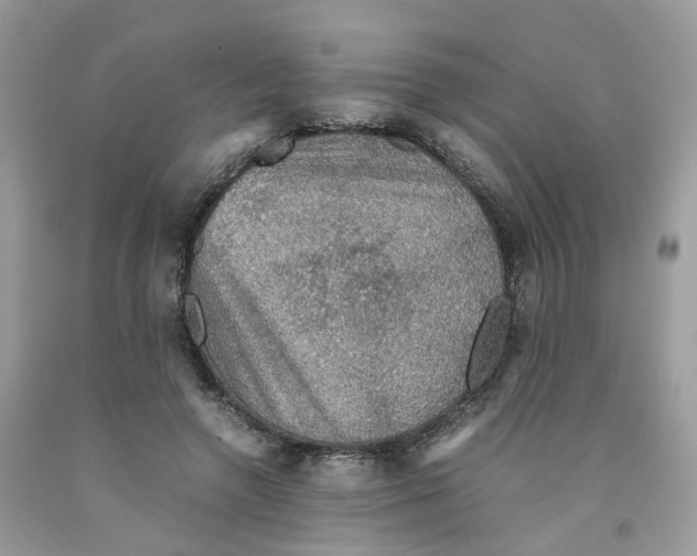 X0000091550546200709141518