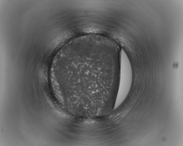 X0000091550547200709141518