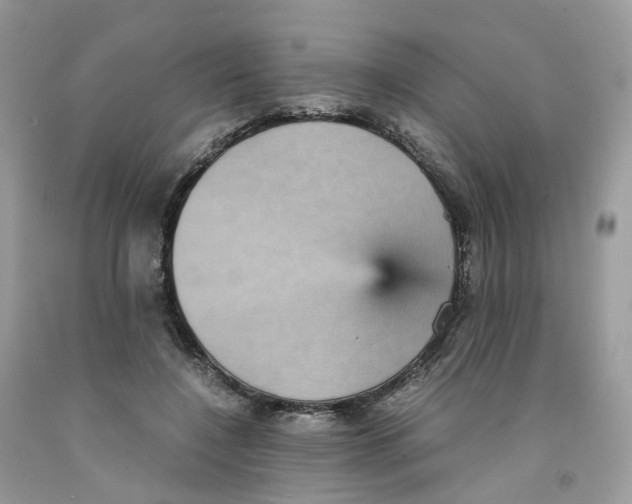 X0000091550548200709141518