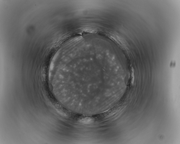 X0000091550551200709141518