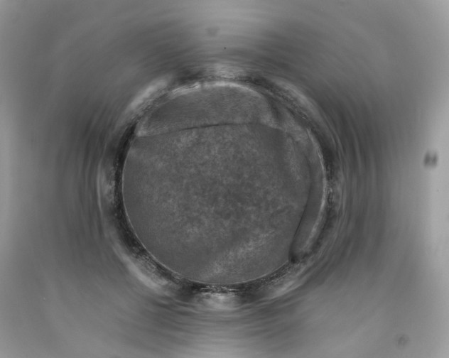 X0000091550552200709141518