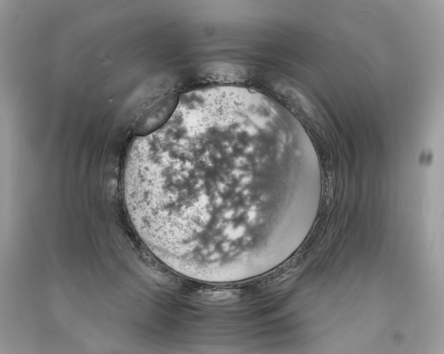 X0000091550553200709141518