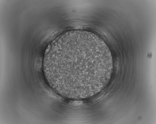 X0000091550554200709141518