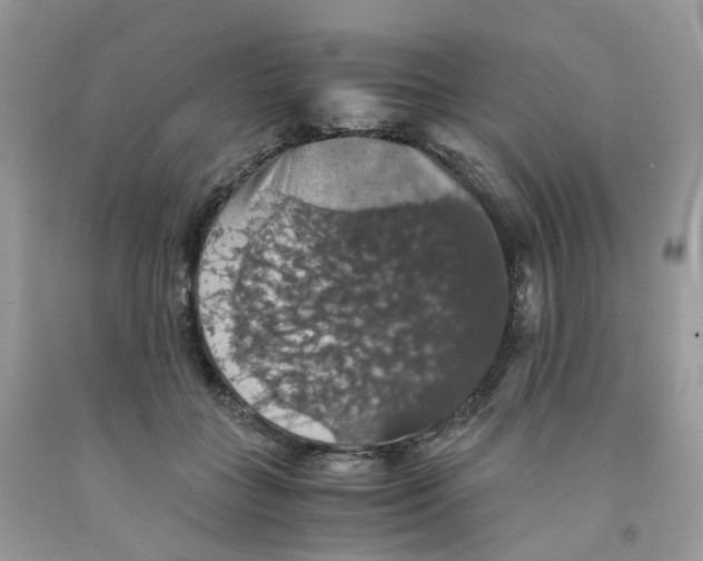 X0000091550555200709141518