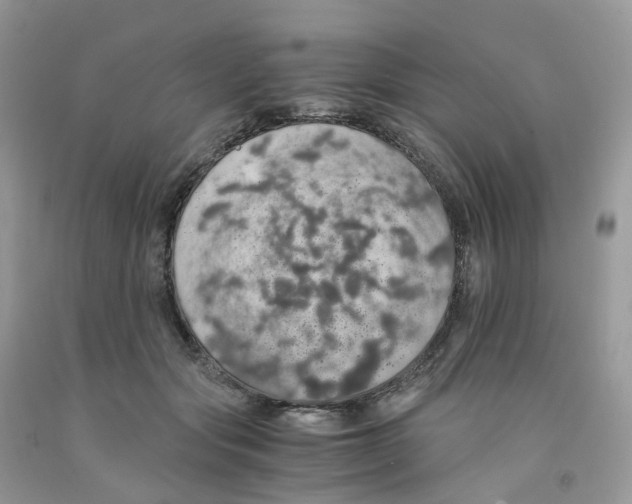 X0000091550557200709141518