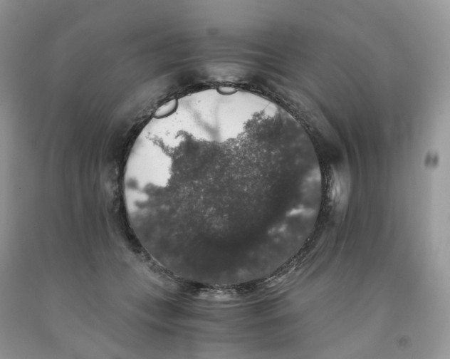 X0000091550559200709141518