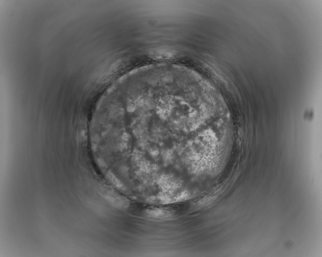 X0000091550561200709141518