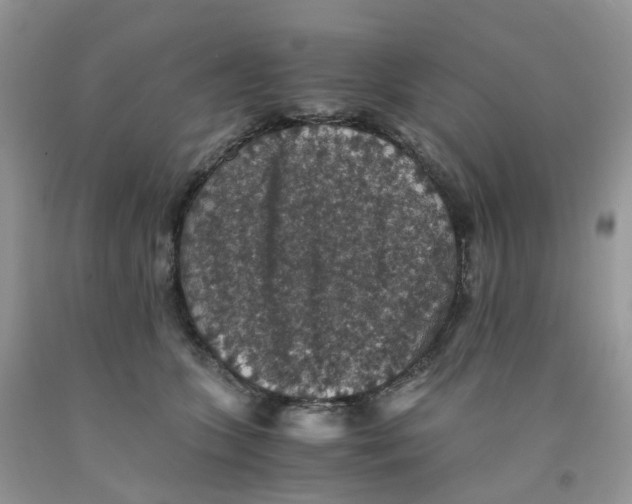 X0000091550563200709141518