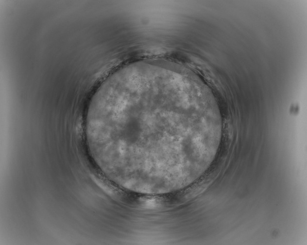 X0000091550564200709141518