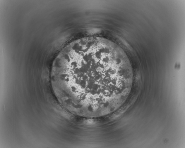 X0000091550565200709141518