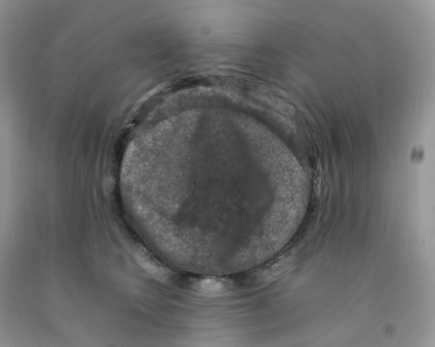 X0000091550566200709141518