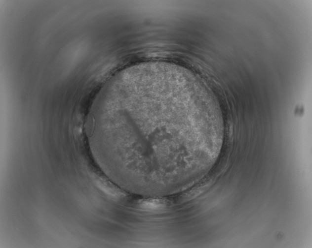 X0000091550567200709141518