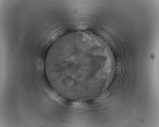 X0000091550568200709141518