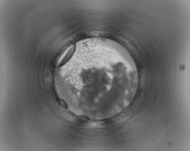 X0000091550569200709141518