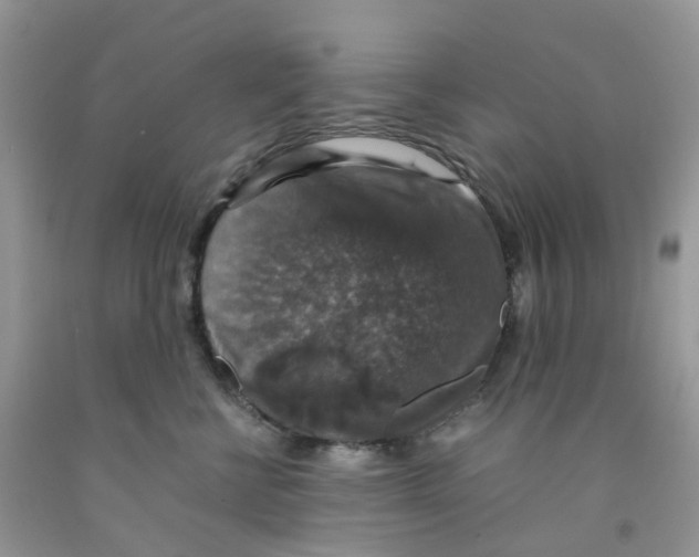 X0000091550570200709141518