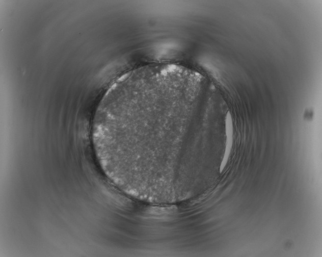 X0000091550571200709141518