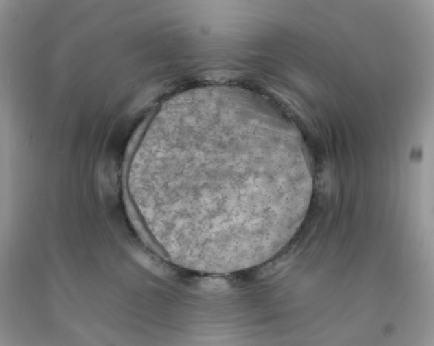 X0000091550572200709141518