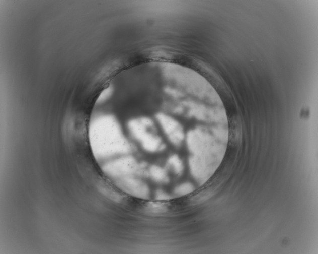 X0000091550573200709141518