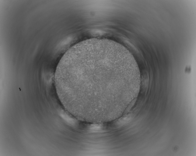 X0000091550574200709141518